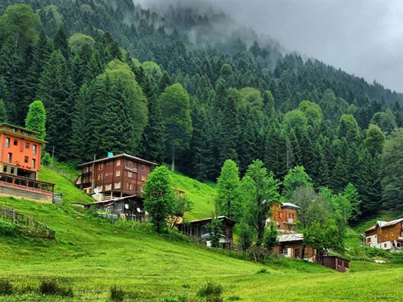 رحلة مرتفعات أيدر