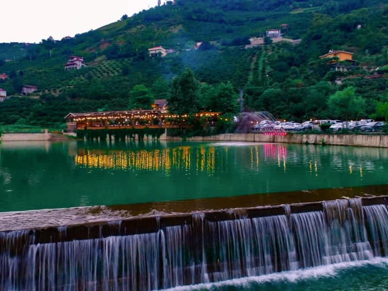 صورة توضيحية 2