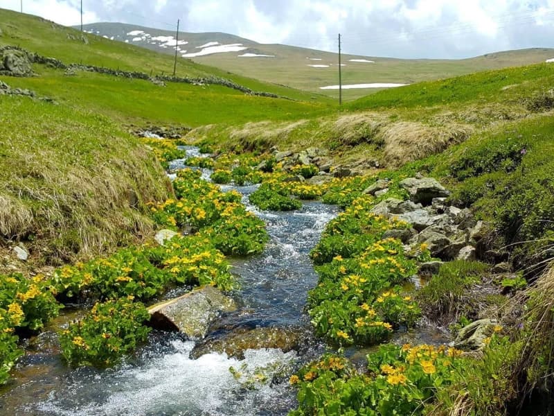 جولة السلطان مراد - صورة 2