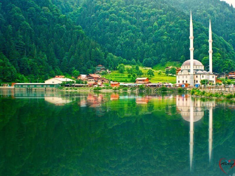 VIP العرض الذهبي - طرابزون